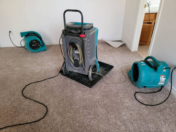 Best Water damage cleanup near me  in New Miami, OH