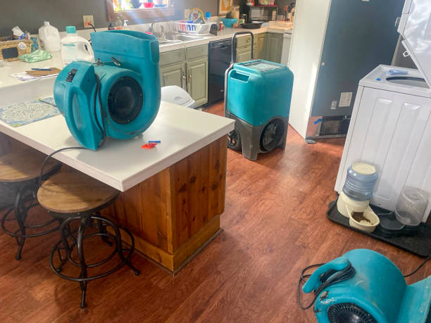 Reliable New Miami, OH Water damage restoration Solutions