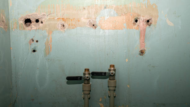 Best Mold removal after water damage  in New Miami, OH